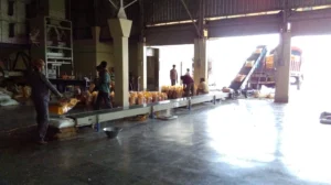 Loader at Bhadreshwar mill